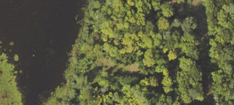 Chaney Lk