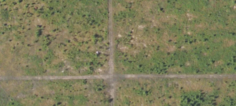 Newberry, MI 49868