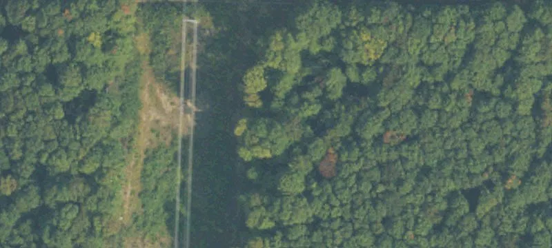 Elmira, MI 49730