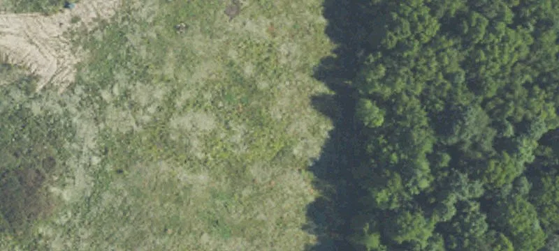 Harvest Park