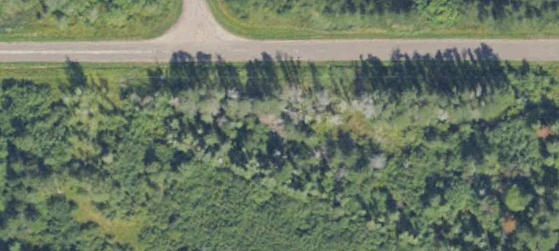 Ewen, MI 49925