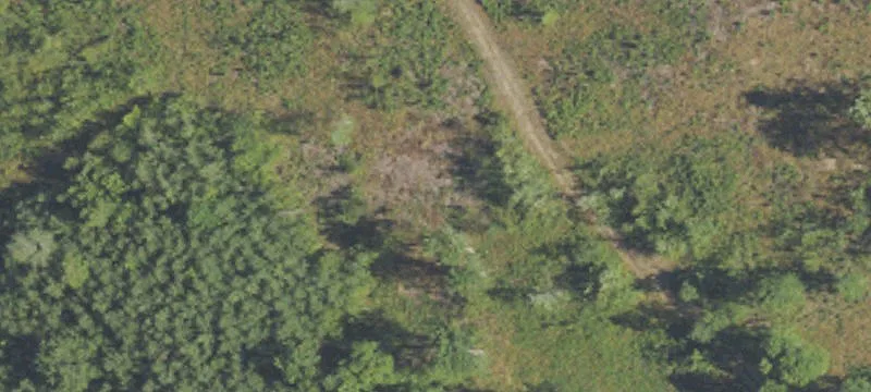 Gaylord, MI 49735