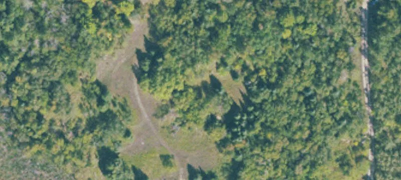 Bark River, MI 49807