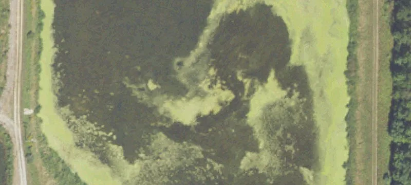 Pentwater, MI 49449