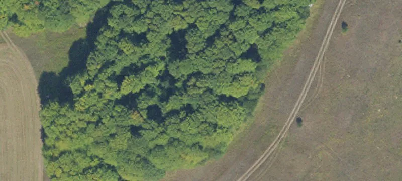 Johannesburg, MI 49751