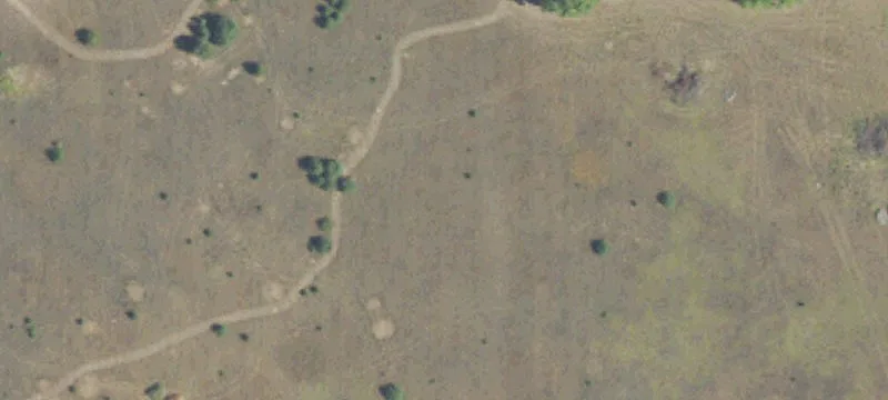 Bellaire, MI 49615