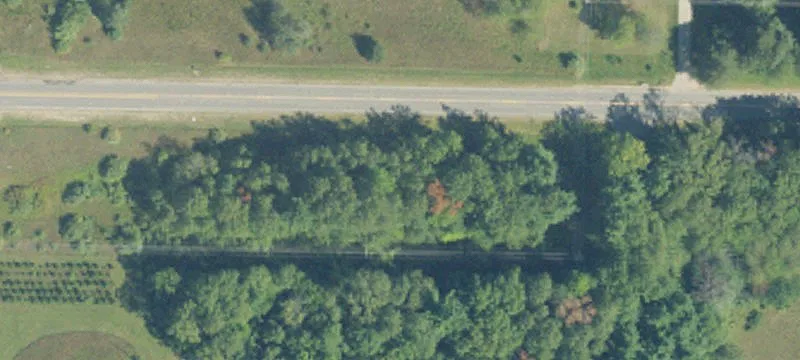 Tamarack Rd