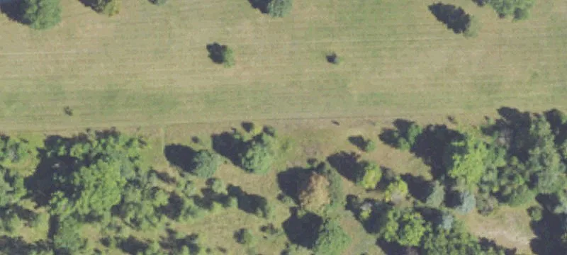 Lapeer, MI 48446