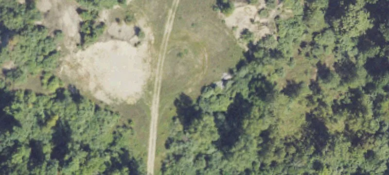 Willis Rd