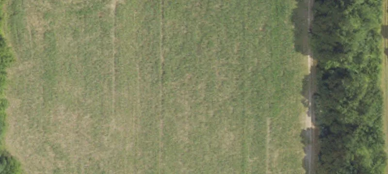 2334 Dryden Rd
