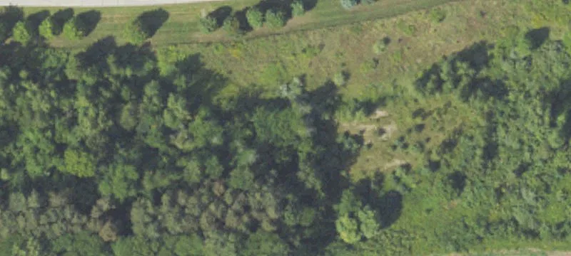 Van Dyke Rd