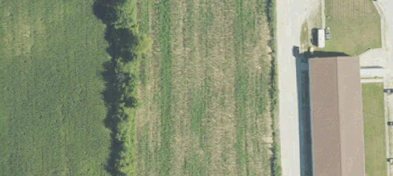 Elba Rd