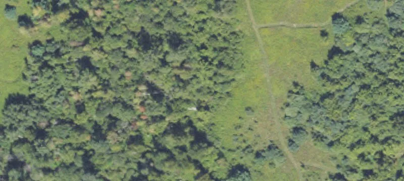 Fairgrounds Rd