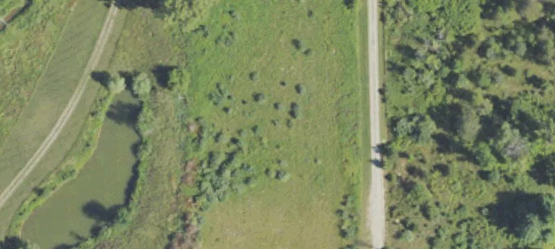 Pratt Rd