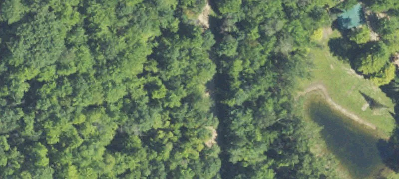 4561 Poplar Dr