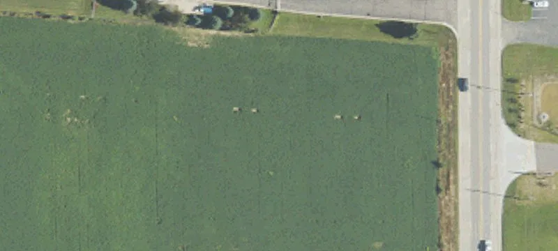 3024 Mount Morris Rd