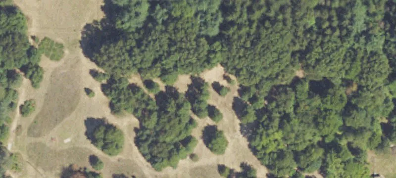 11850 9th Mile Rd