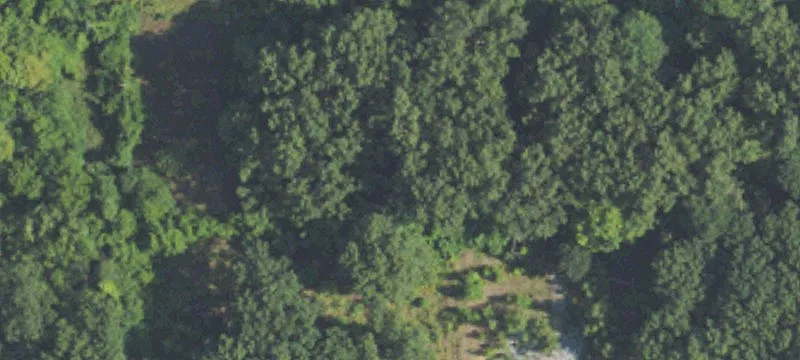 1600 8th Mile Rd