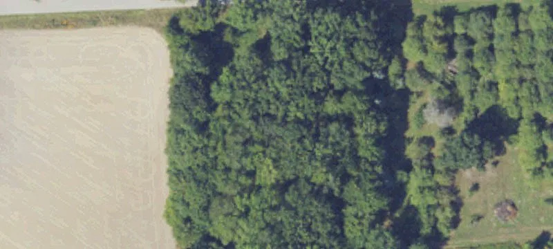 Rynn Rd