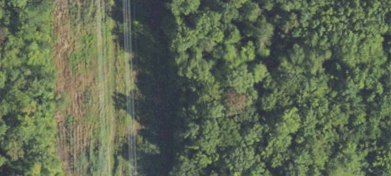 Palms Rd