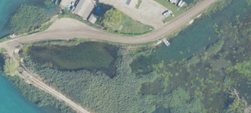 Middle Channel Dr