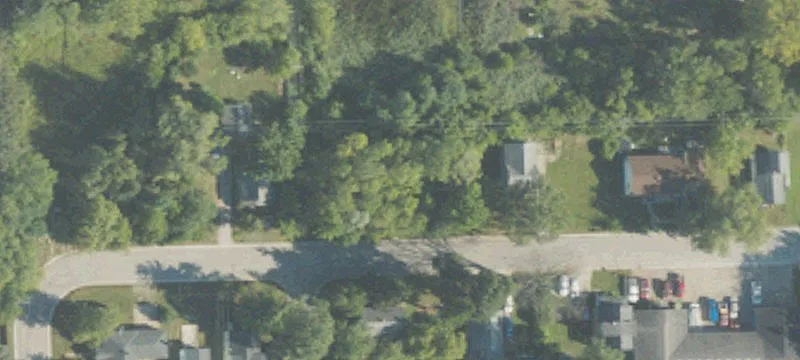Chestnut St