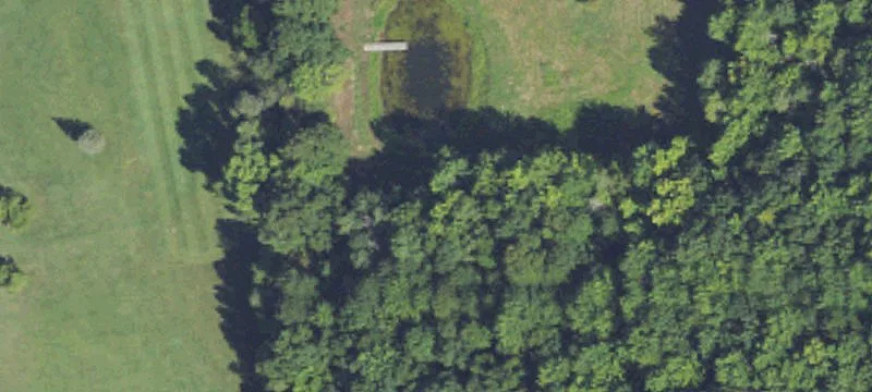 10377 Lindsey Rd
