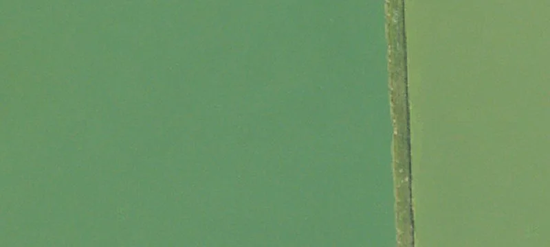 Yale, MI 48097
