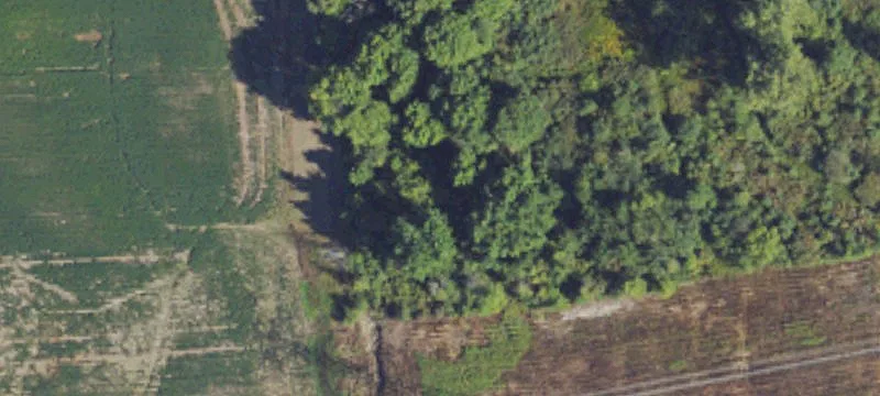 Wadhams Rd