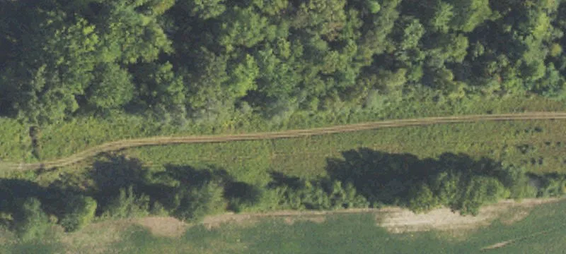 Allen Rd