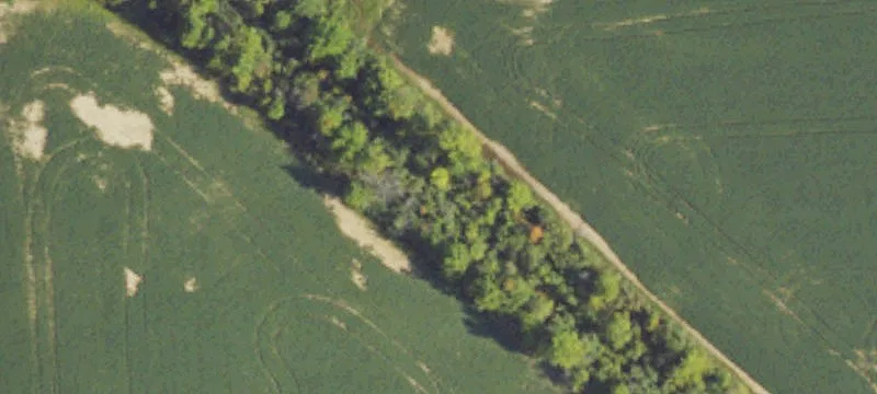 Kilgore Rd