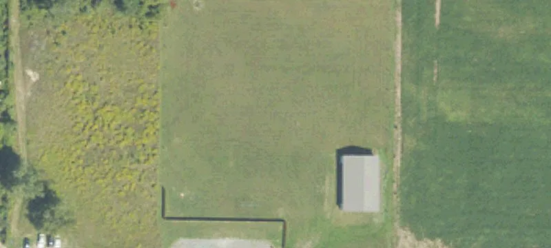 Custer, MI 49405