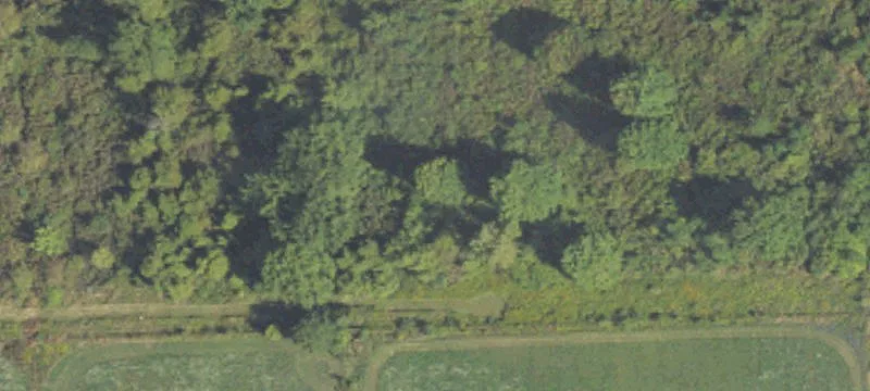 Puttygut Rd