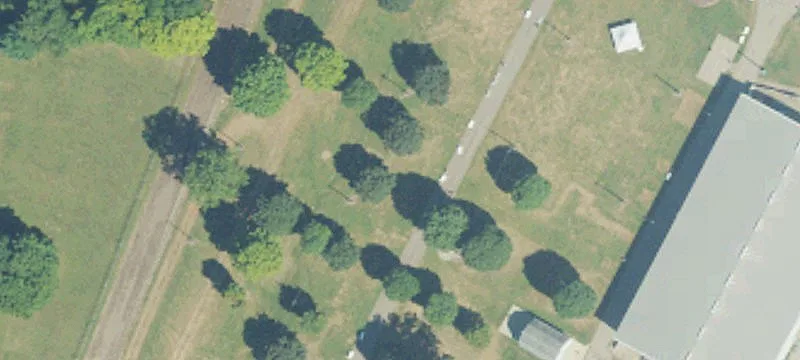 Us 31