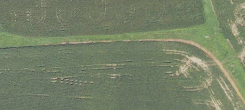 Hartford, MI 49057