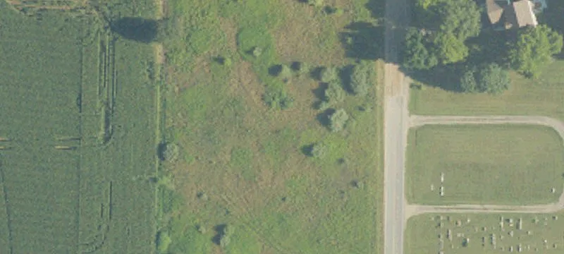 Orleans Rd