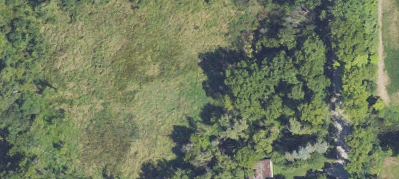 2981 Territorial E Rd