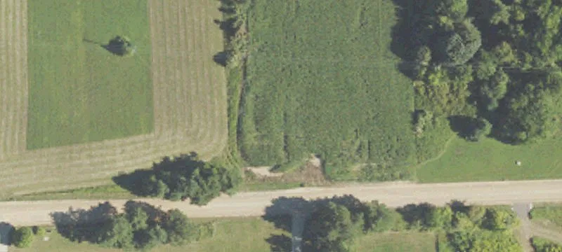 Farrand Rd