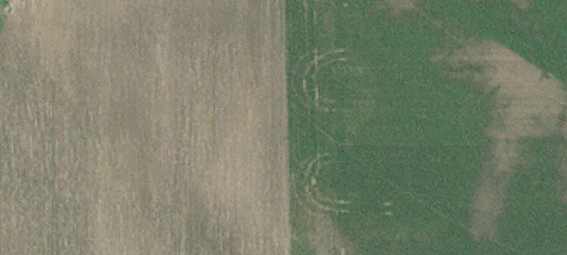 Kimball, MN 55353