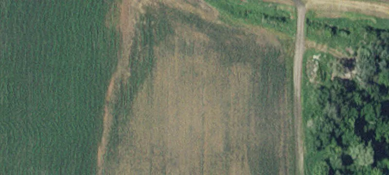 Albany, MN 56307