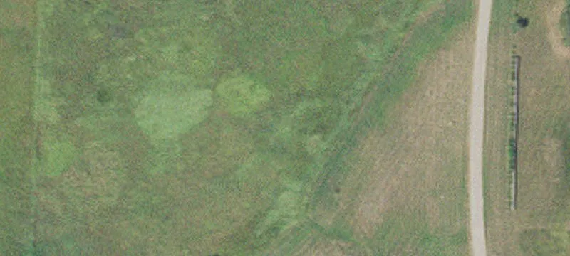 10889 Stevens Rd