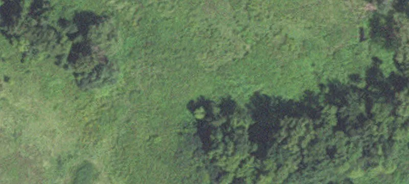 Caledonia, MN 55921