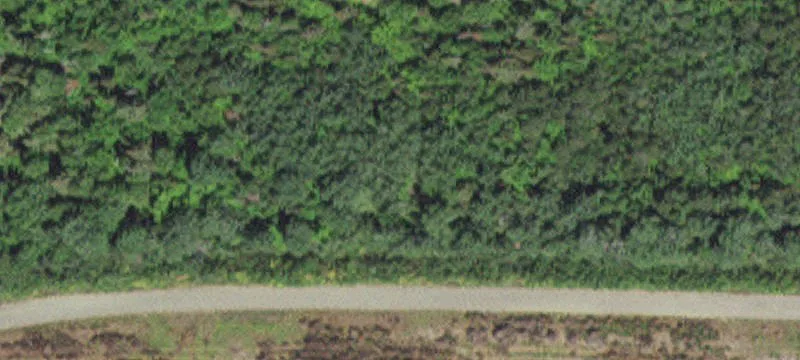 Babbitt, MN 55706