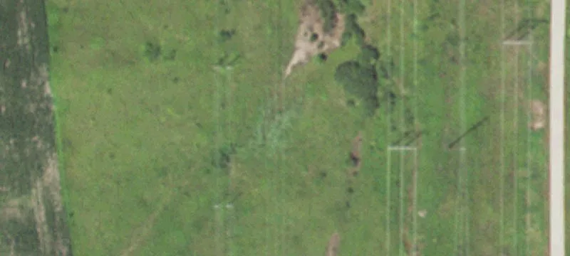 Adams, MN 55909
