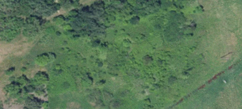 Milaca, MN 56353
