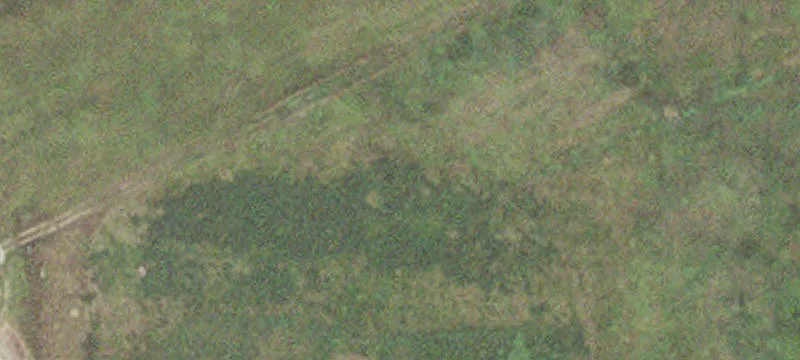 Luverne, MN 56156