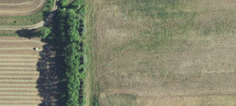 Paynesville, MN 56362