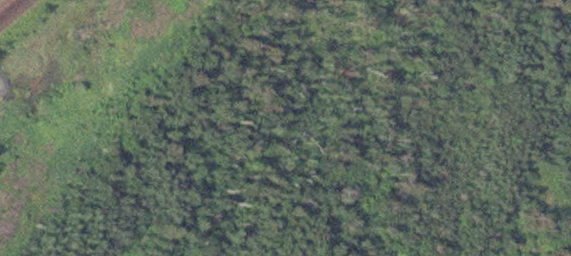 Silver Bay, MN 55614