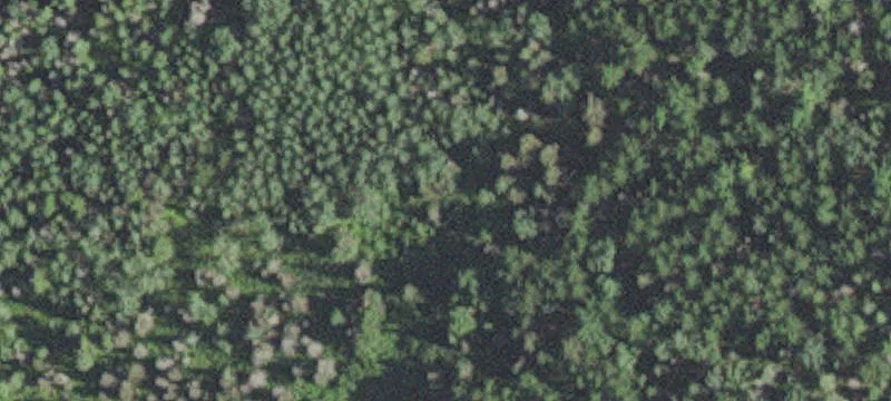 Silver Bay, MN 55614