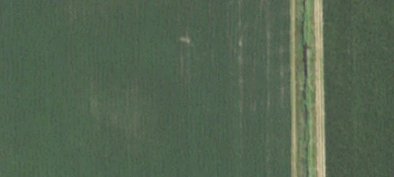Adams, MN 55909